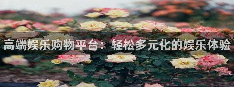 蓝狮在线彩票官网：高端娱乐购物平台：轻松多元化的娱乐体验