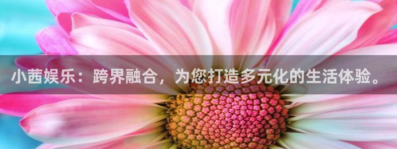 蓝狮在线平台：小茜娱乐：跨界融合，为您打造多元化的生活体验。