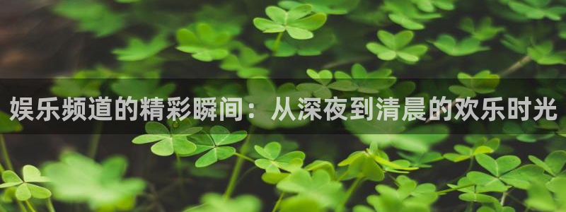 蓝狮在线邀请码怎么获得：娱乐频道的精彩瞬间：从深夜到清晨的欢乐时光