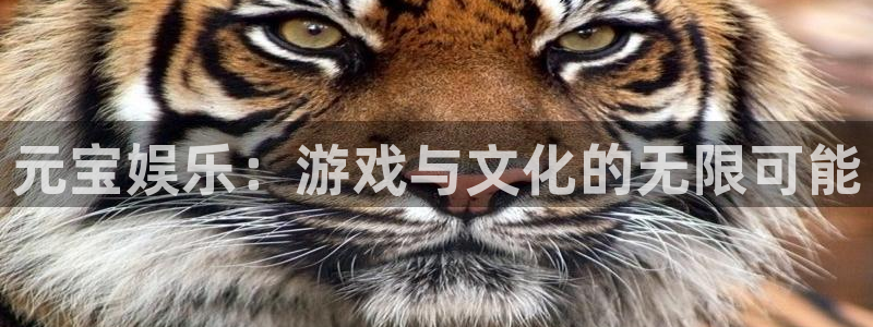 蓝狮在线游戏怎么注册：元宝娱乐：游戏与文化的无限可能
