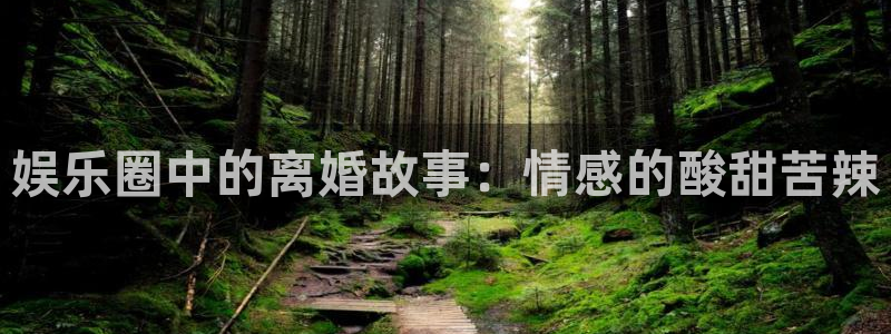 蓝狮在线注册开户：娱乐圈中的离婚故事：情感的酸甜苦辣