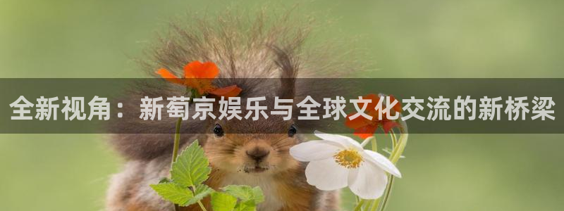 蓝狮在线平台：全新视角：新萄京娱乐与全球文化交流的新桥梁
