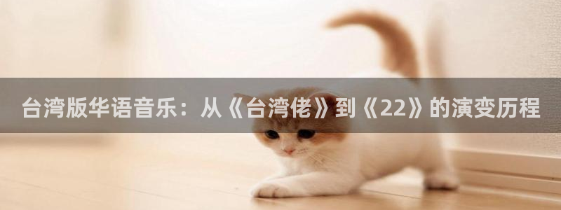 蓝狮在线登录注册账号：台湾版华语音乐：从《台湾佬》到《22》的演变历程