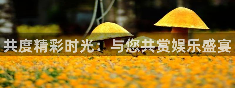 蓝狮在线游戏怎么注册：共度精彩时光：与您共赏娱乐盛宴